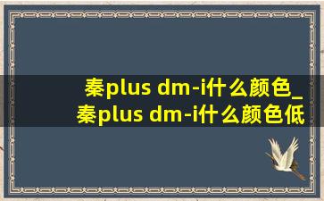 秦plus dm-i什么颜色_秦plus dm-i什么颜色(低价烟批发网)